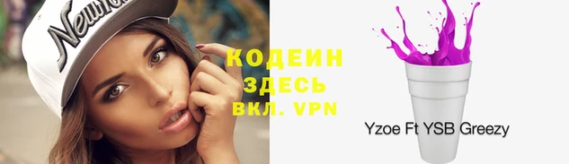 прущие крисы Бородино