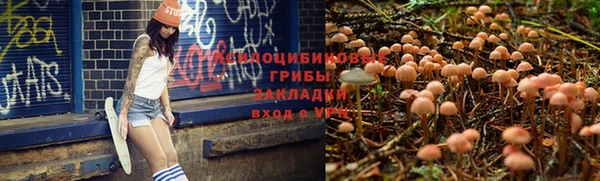 прущие крисы Бородино