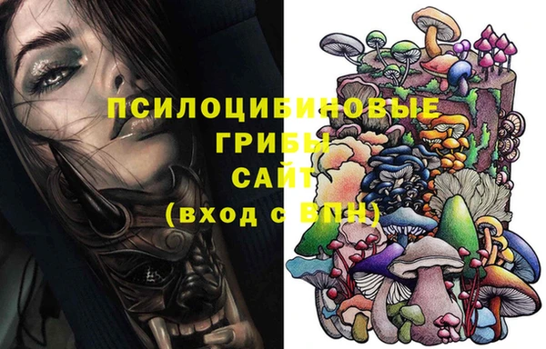 2c-b Богородицк
