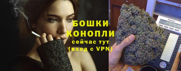 прущие крисы Бородино