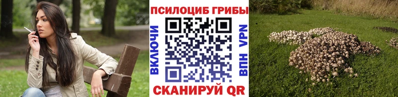 Галлюциногенные грибы мухоморы Ачхой-Мартан
